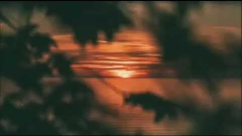 آيات بينات من سورة النمل 💮