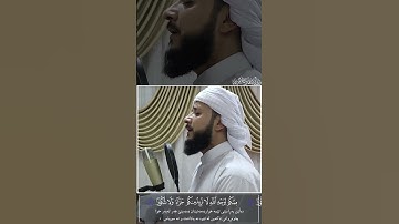 من اجمل تلاوات للقارئ مصطفی الکردی