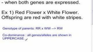 Genetics - 6 - Codominance - Sci 10 May30