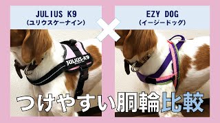 【犬の胴輪を比較】つけやすい人気のハーネス２商品を紹介！胴輪の選び方④