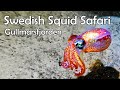 Swedish Squid Safari: Highlights from the annual dives!