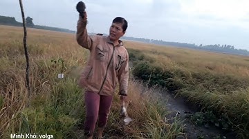 Đặt bẫy chuột đồng không cần mồi dính thấy mắt mê tập 5