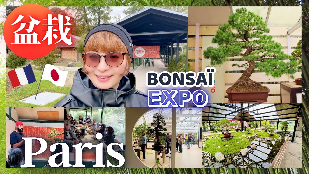 【パリの日仏文化交流・毎年開催の盆栽エクスポ  Bonsai Culture Expo Paris 】ヴァンセンヌのパーク・フローラルに盆栽パビリオンが昔からありました !!