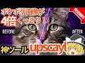 GitHubで42,000スター超え!爆速で成長した究極のAI画像高画質化ツール『Upscayl』が凄すぎる【ゆっくり解説】