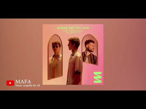 Lost Frequencies Ft Calum Scott Where Are You Now Instrumental Music Only FREE DOWNLOAD 