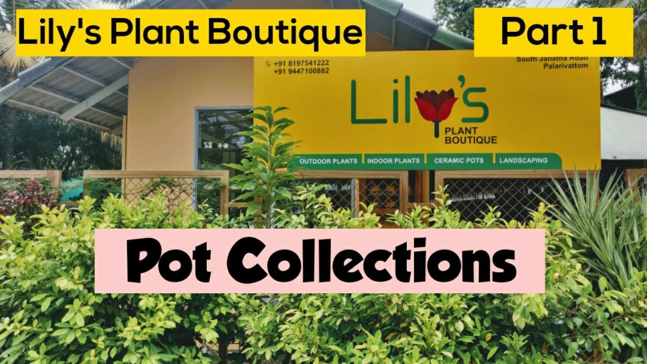 Garden tour(Part1) Lily's Plant Boutique/beutiful garden ideas/Pot