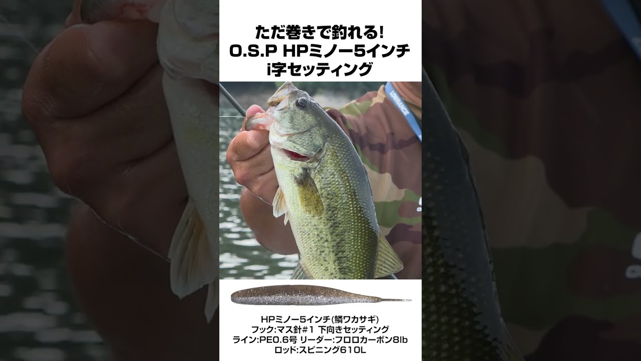 HPミノー5インチ i字セッティングで表層バイト！ #バス釣り #バス