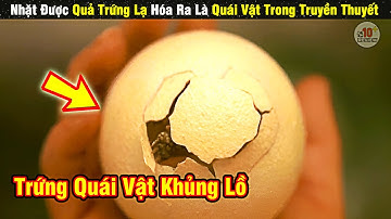 Review Phim Quả Trứng Lạ Này Hóa Ra Là Của Con Gamera Khổng Lồ | tóm tắt phim