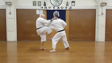 A short section from Seipai Kata (Bunkai)