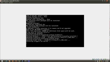 DNS,Mail Server dan Web Mail (Wirakarya)