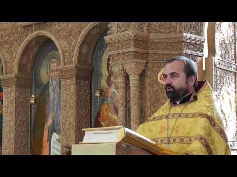 2016-07-31 Проповедь о. Александра Сорокина на (Мф 9, 1-8)