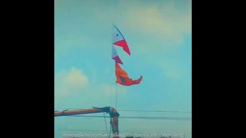 PFI zindabad kon bi kya bi nai karte is duniya me musalmano kech raj 💚