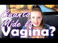 Cuanto mide la vagina? - SUS MEDIDAS  📏 [ Profundidad] 😲