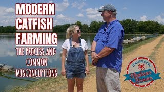 Modern CATFISH Farming: The Process and Common Misconceptions
