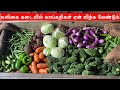 மளிகை கடையில் காய்கறிகள் ஏன் விற்க வேண்டும் அதனால் கிடைக்கும் பலன்கள் @ulaippeuyarvuofficial