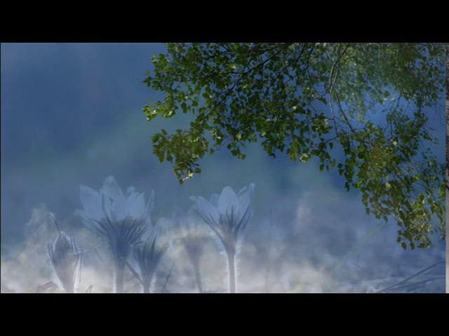 Watch Christian Reindl, Lucie Paradis (Freya) on YouTube