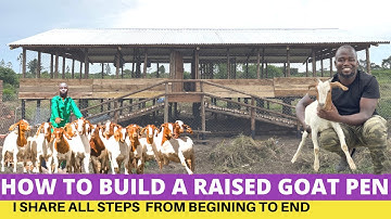 Goat Farming; How To Construct a Raised Goat House in 2024