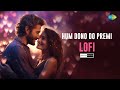 Hum Dono Do Premi Lofi | Kishore & Lata | Classic Remix