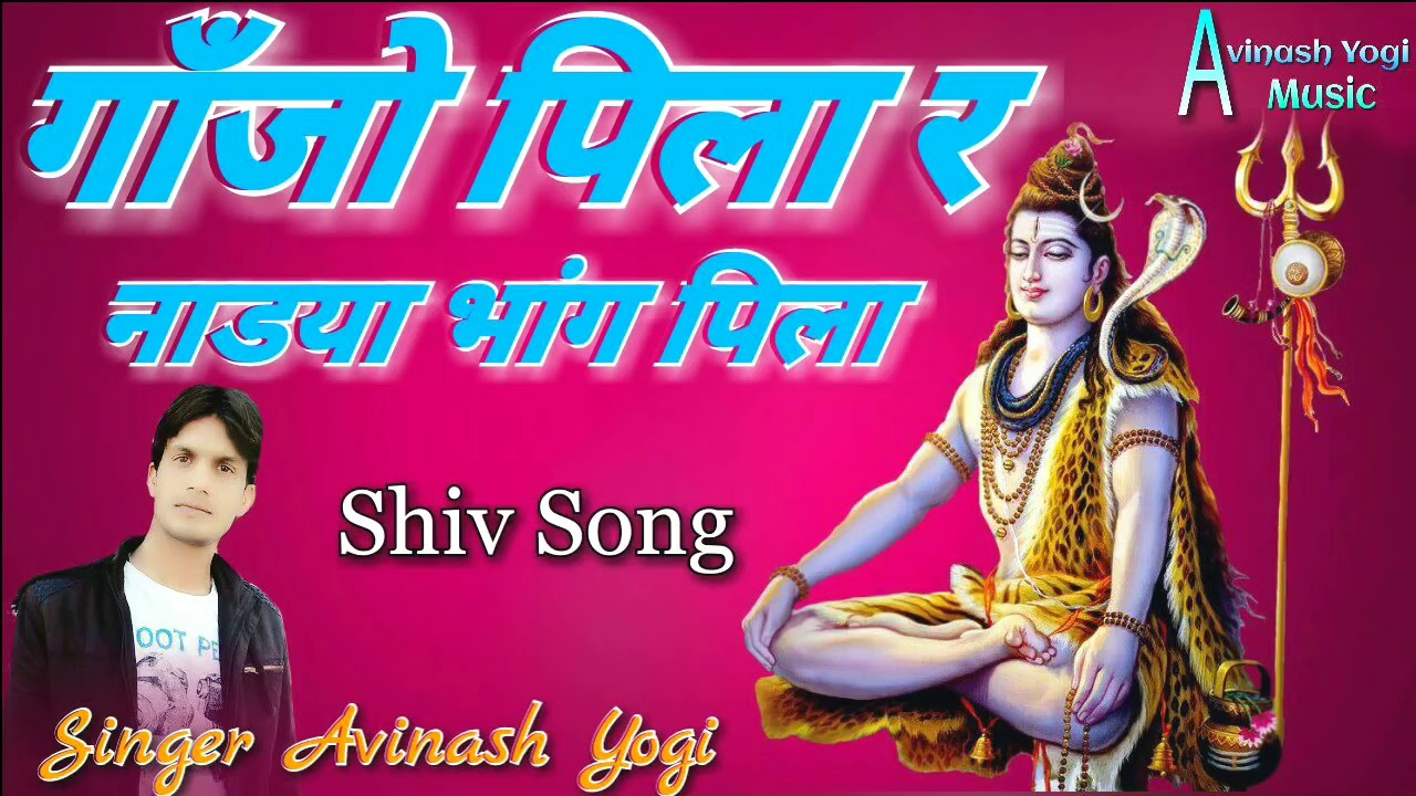 Singer Avinash Yogi  Ganjo pila r nadyaa bang pila  Rajsthani new dj songs 9887618405