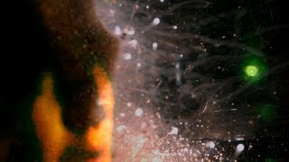 SHADOW SEAS: PHILIP CLEMO with EVI VINE - official video