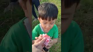 bagi2 mochi rasa strawberry ?? shorts shortvideo shortsfeed