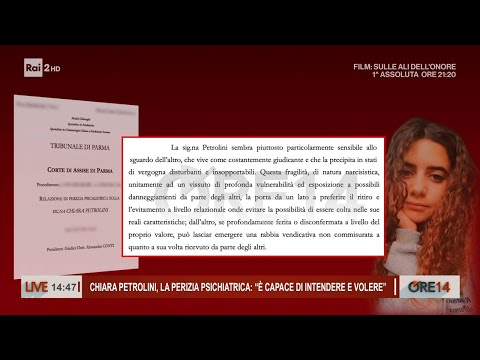 Video Petrolini: per la perizia psichiatrica è capace di intendere e di volere - Ore 14 del 26/01/2026