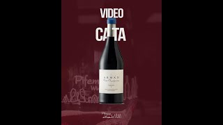 VideoCata Finca Os Loureiros