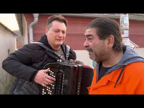 Darko Antić -