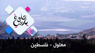 معلول