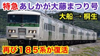 【国鉄185系】特急あしかが大藤まつり号に乗った！大船→桐生