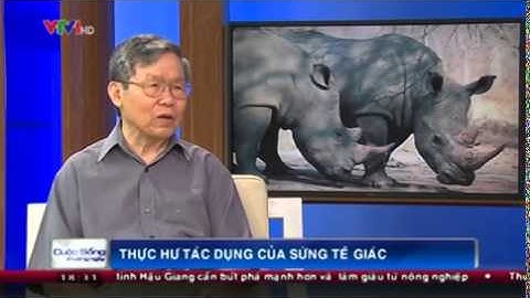 Thực hư về tác dụng cường dương của sừng tê giác