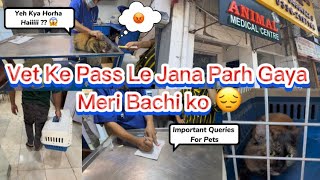 A visit At Animal Medical Center 🏥 | Meri Bachi ko Vet Ke Pass Le Jana Para 🙁| Pet Vaccination Q/A