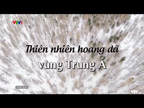 Video: Động vật hoang dã của Tajikistan