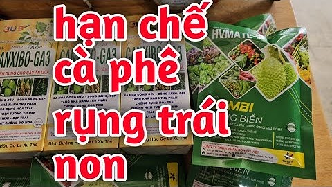 Hd571.Thuốc trị cà phê rụng trái non