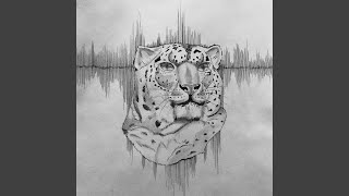 Observer
