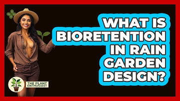 What Is Bioretention In Rain Garden Design? - The Plant Enthusiast