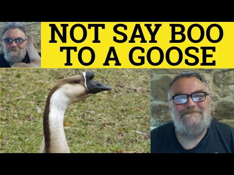 🔵 Wouldn't Say Boo to a Goose - Wouldn't Say Boo to a Goose Meaning