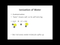 Understanding Water's Amphoteric Nature