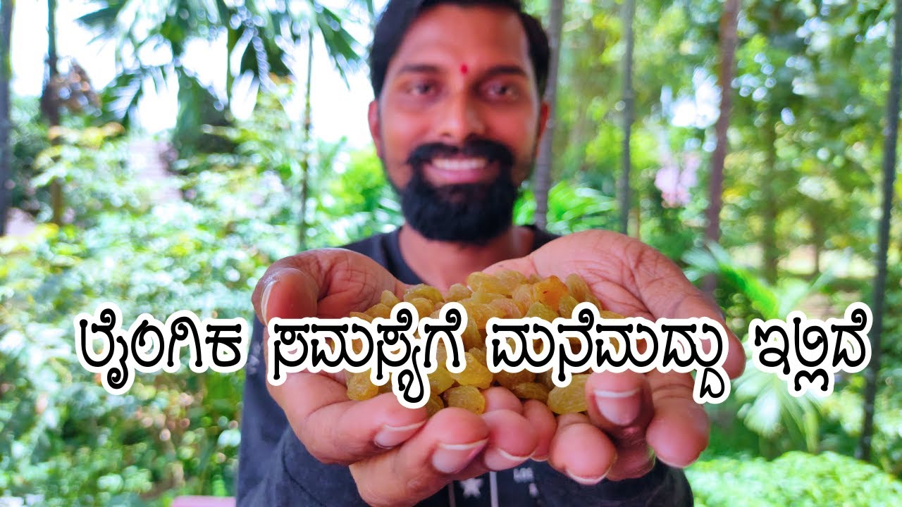 ಲೈಂಗಿಕ ಸಮಸ್ಯೆಗೆ ಪರಿಹಾರ ಬೇಕಾ? Raisins Benefits in Kannada Dry Grapes
