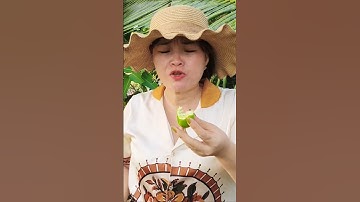 TLMTVOG #GA ĐỒNG ĂN TRÁI TRÁI NÀY THÌ THÔI CHẠY BỘ DÉP