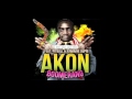 DJ Felli Fel Akon Pitbull - Boomerang (Mike Doerr Remix)