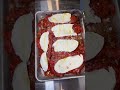 This chicken parm sandwich.... is 3 FEET LONG 😲