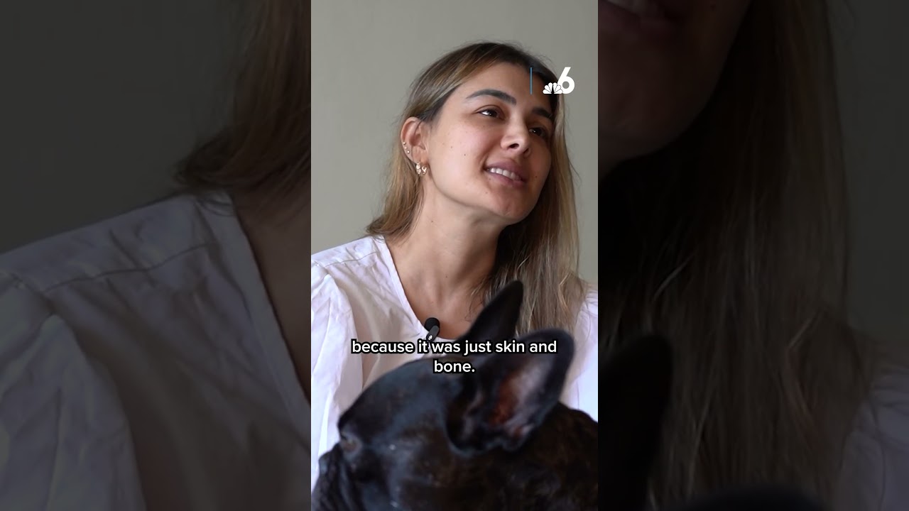 Dog owner arrested after neighbors at Miami high-rise express concerns, animal services says
