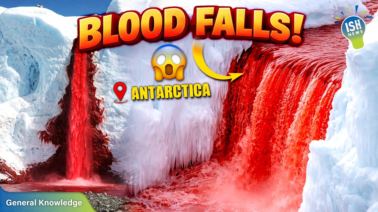 Blood Falls: Antarctica’s “Bleeding Glacier” That Went Viral | ISH News