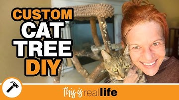 Custom Cat Tree DIY Tutorial Video - THIS IS REAL LIFE