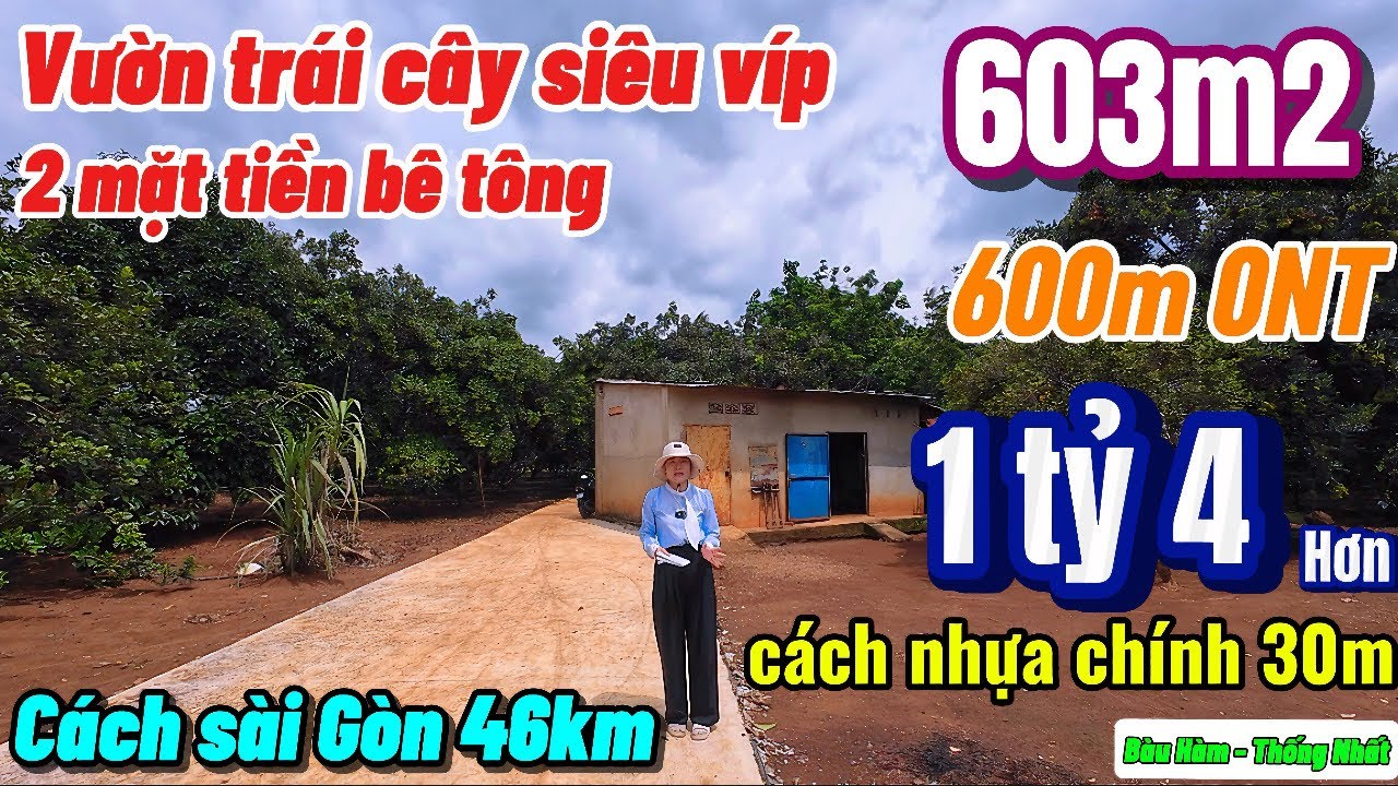 Nhà đất đồng nai, vườn trái cây cực hiếm có 600m thổ cư ngay đường nhựa giá chỉ hơn 1 tỷ quá rẻ luôn