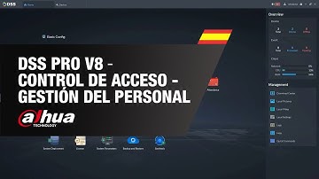 DSS PRO V8 - Control de Acceso - Gestión del Personal - Dahua | By Demes