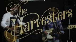 Neil Young - Down By The River - Official video - The Harvesters
