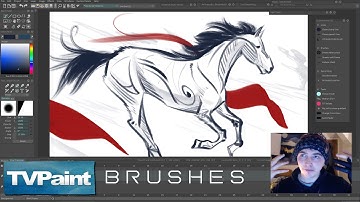 Demonstrating the Power of My TVPaint Brush Pack - Now Available