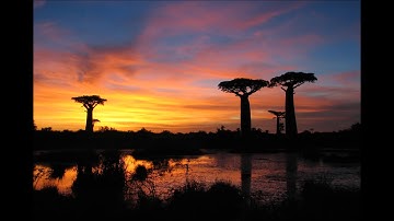 Native Instruments West Africa library demo: African Skies